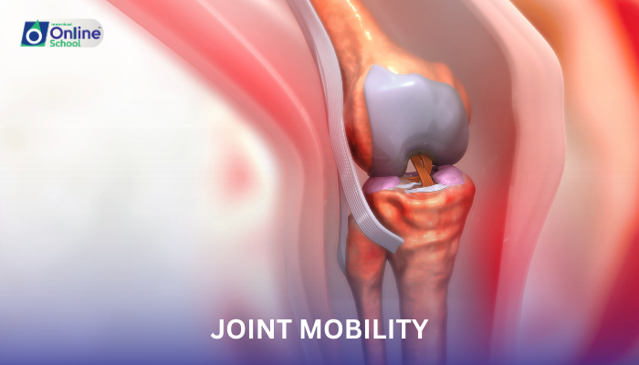 Lesson 05: Joint Mobility